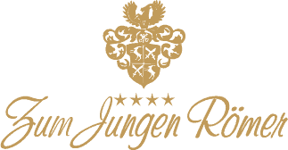 Hotel Junger Römer in Radstadt